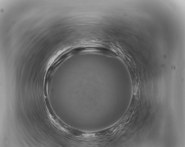 X0000056000052200508261800