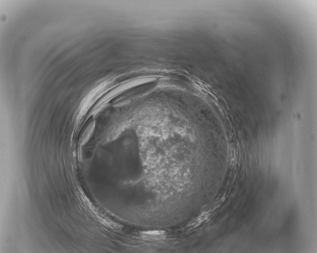 X0000056000053200508261800