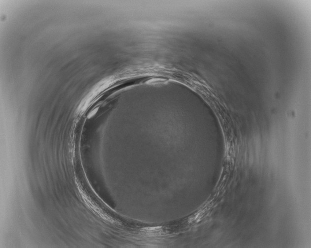 X0000056000054200508261800