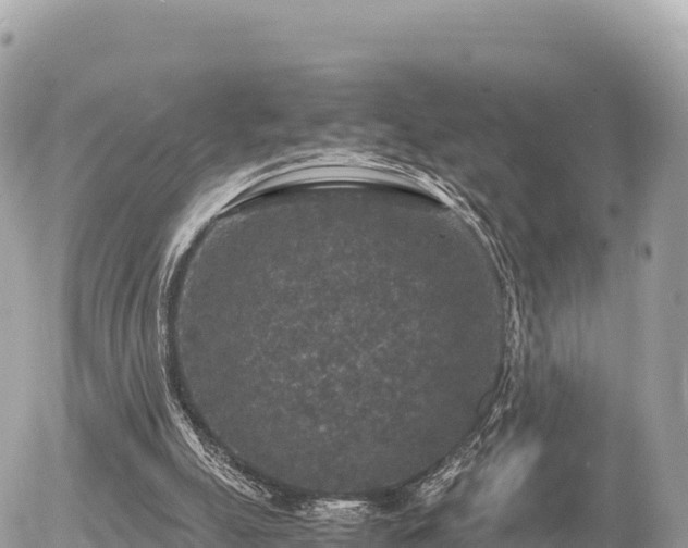 X0000056000055200508261800