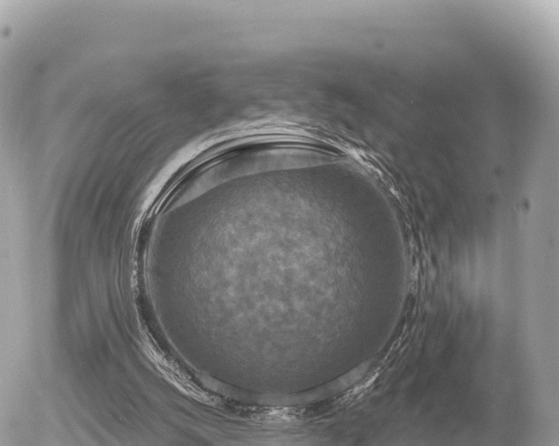 X0000056000056200508261800