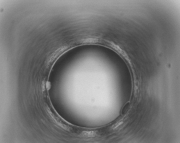 X0000056000057200508261800