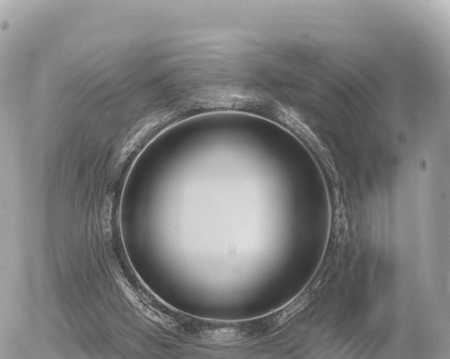 X0000056000058200508261800