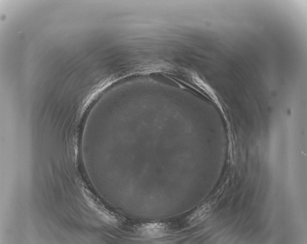 X0000056000059200508261800