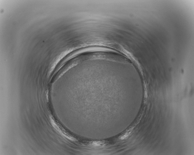 X0000056000060200508261800