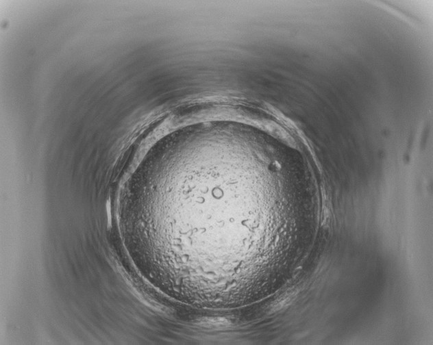 X0000056000061200508261800