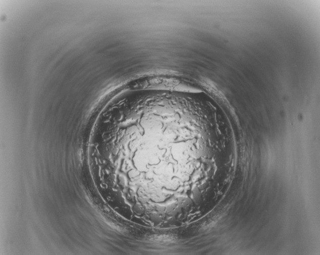 X0000056000063200508261800