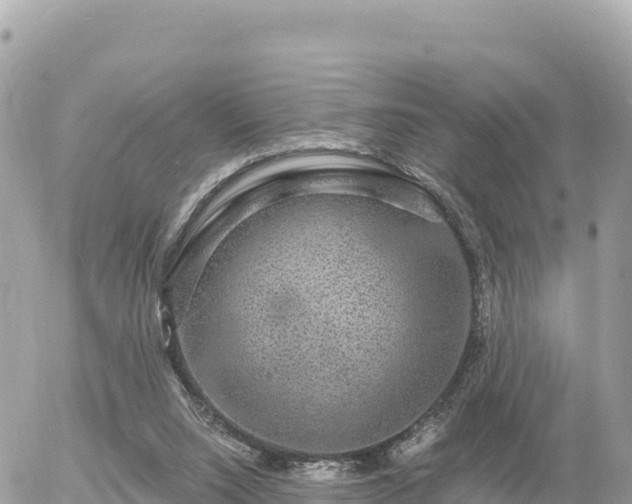 X0000056000064200508261800