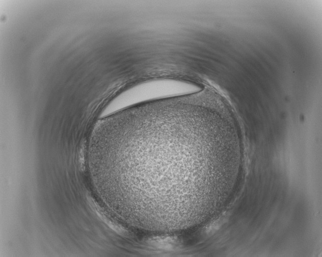 X0000056000065200508261800