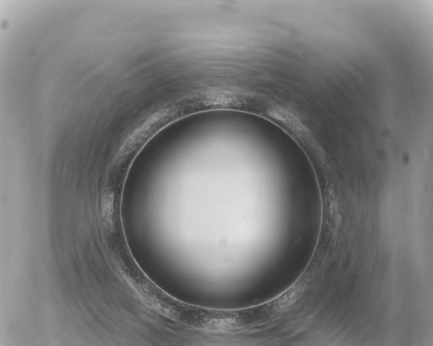 X0000056000066200508261800