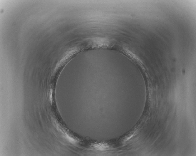 X0000056000067200508261800