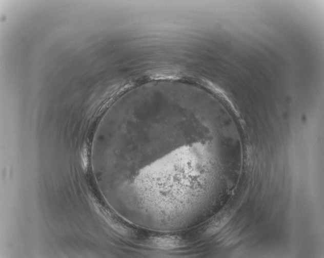 X0000056000069200508261800