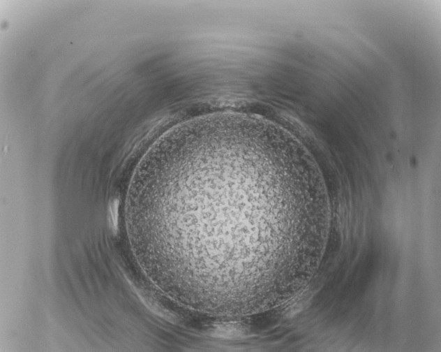 X0000056000070200508261800