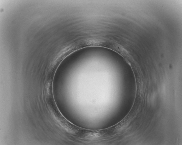 X0000056000071200508261800