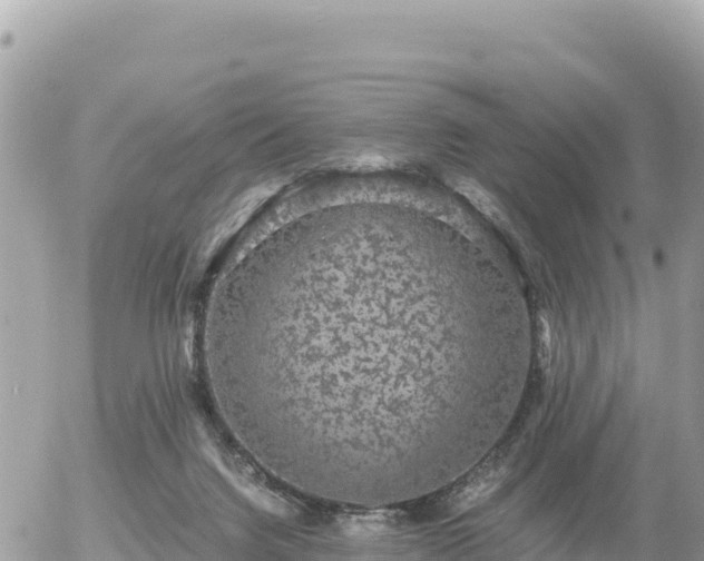 X0000056000072200508261800