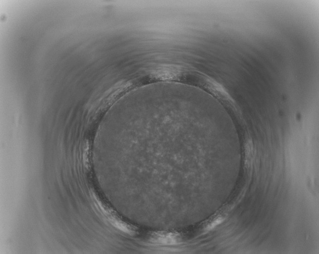 X0000056000073200508261800