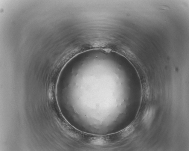 X0000056000074200508261800