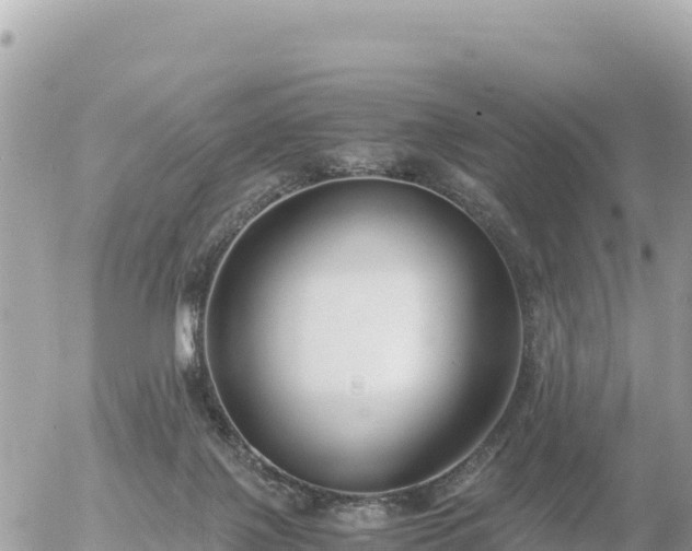 X0000056000075200508261800