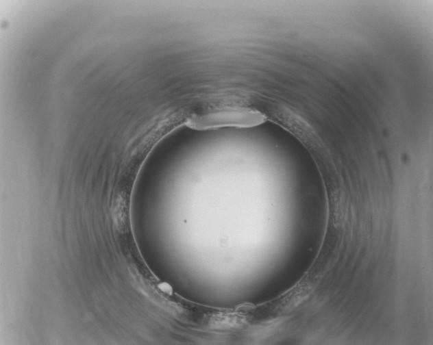 X0000056000077200508261800