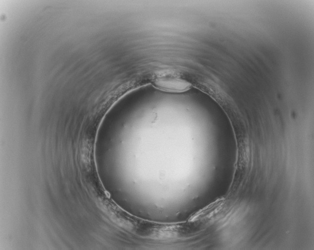 X0000056000078200508261800