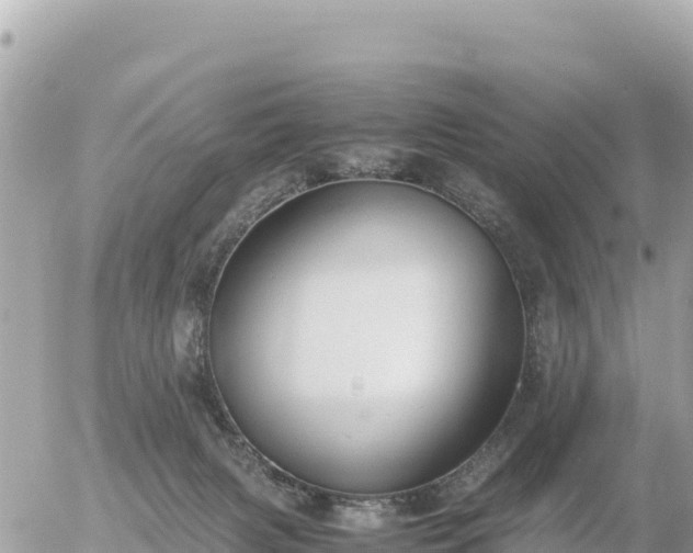 X0000056000079200508261800