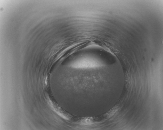 X0000056000080200508261800