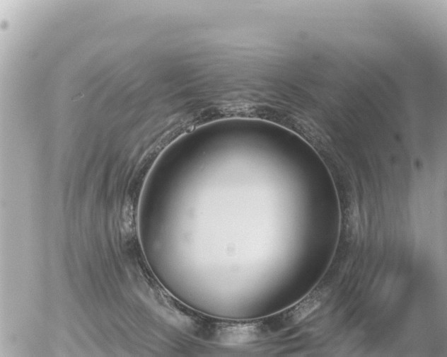 X0000056000081200508261800