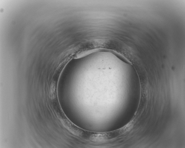 X0000056000082200508261800