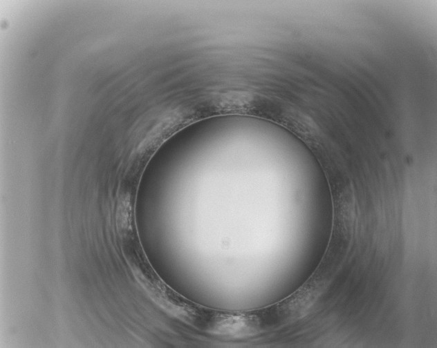 X0000056000083200508261800