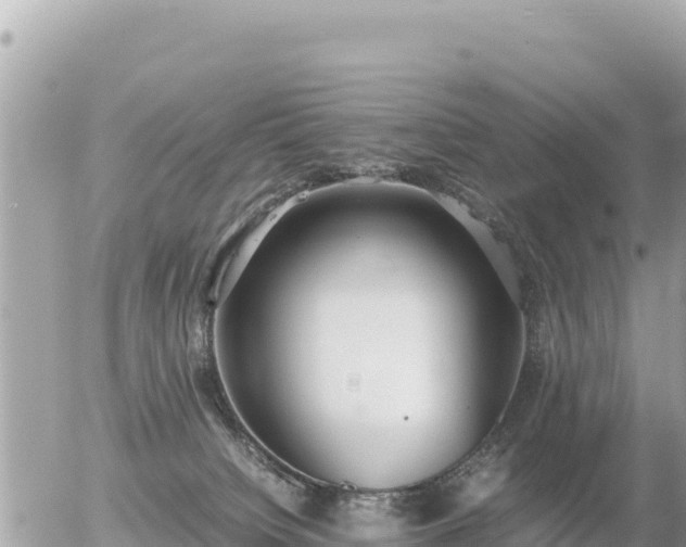 X0000056000084200508261800