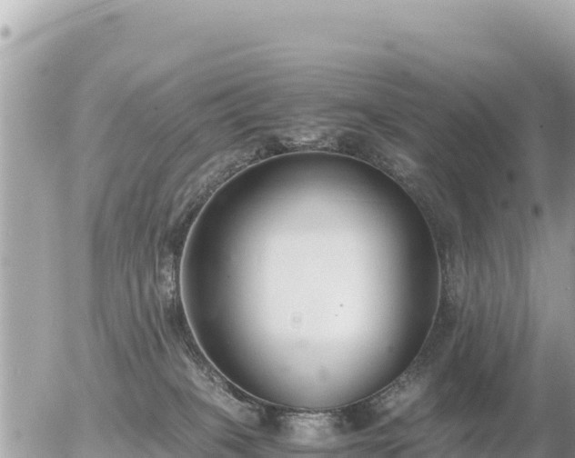 X0000056000085200508261800