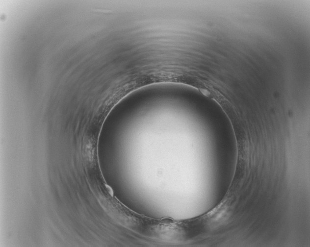 X0000056000086200508261800