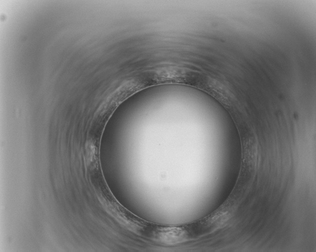 X0000056000087200508261800