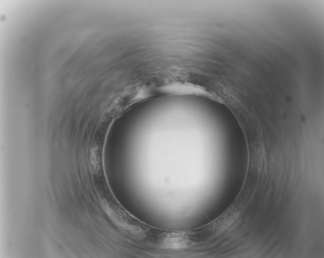 X0000056000088200508261800