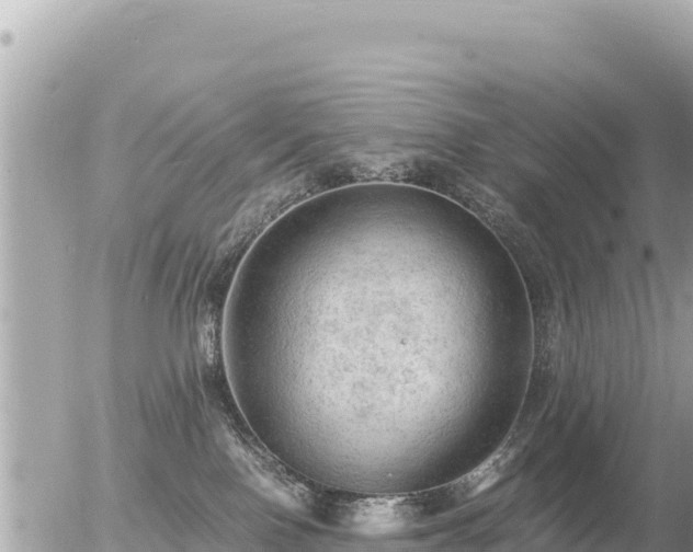 X0000056000090200508261800