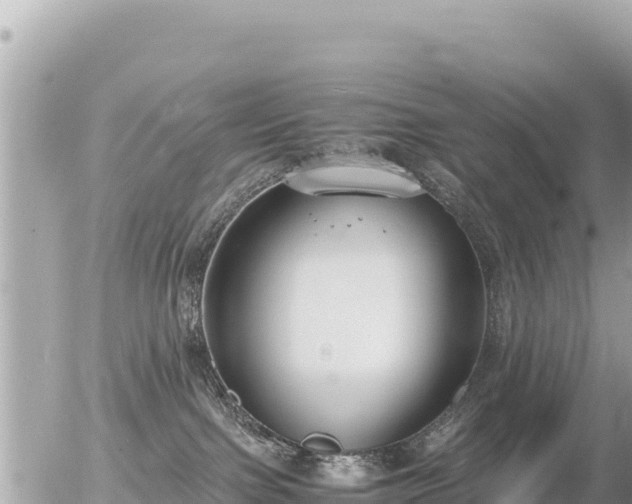 X0000056000091200508261801