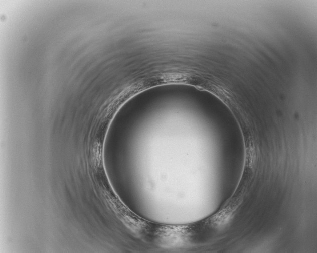 X0000056000093200508261801