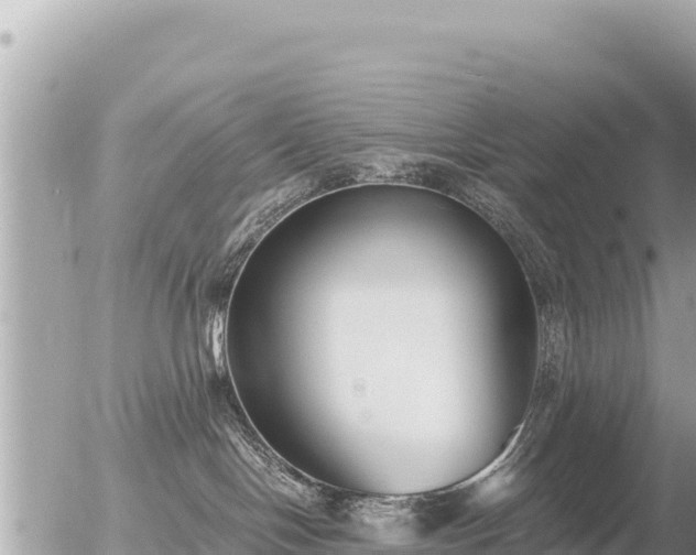 X0000056000094200508261801