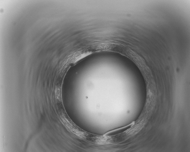 X0000056000096200508261801