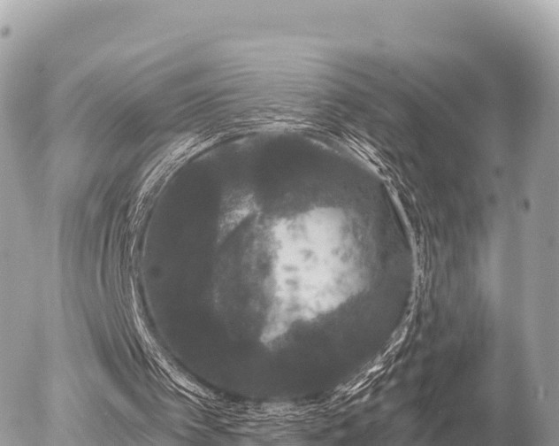 X0000056000097200508261800