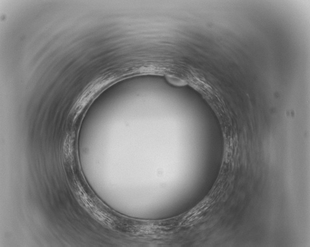 X0000056000098200508261800