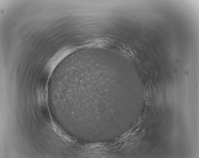 X0000056000100200508261800