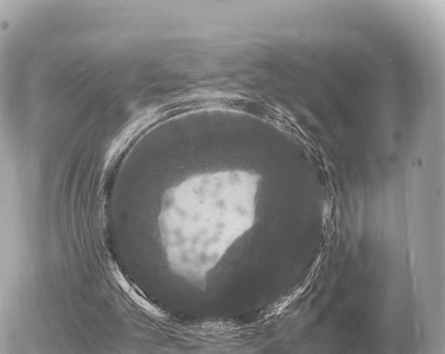 X0000056000101200508261800