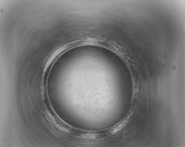 X0000056000102200508261800