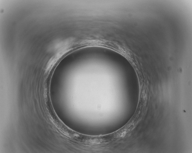 X0000056000103200508261800