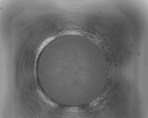 X0000056000104200508261800