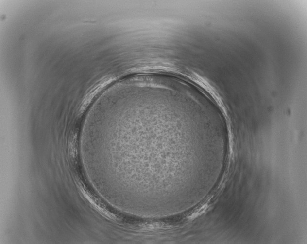 X0000056000105200508261800