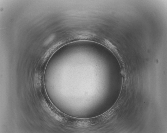 X0000056000106200508261800