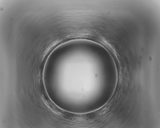 X0000056000107200508261800