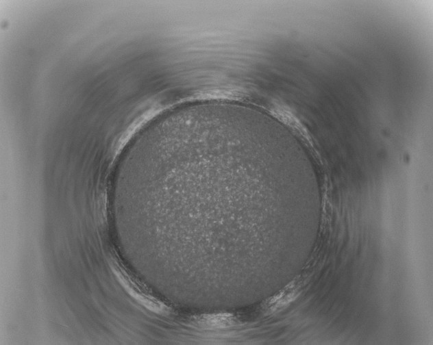 X0000056000108200508261800